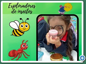 Expliradores-de-Insectos-foto-10