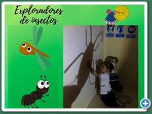 Expliradores-de-Insectos-foto-3